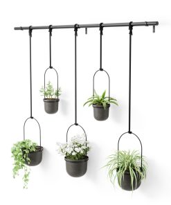 Triflora Hanging Planters. Set of 5